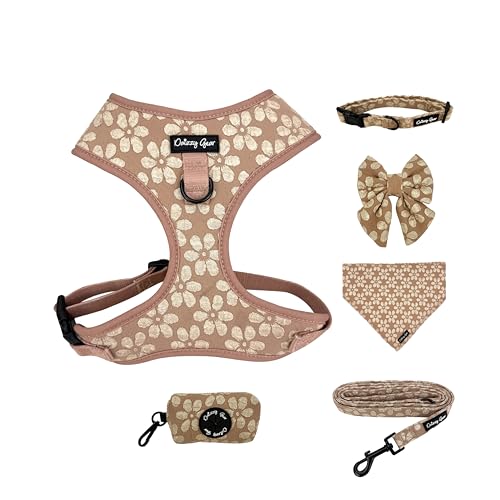 Large Dog Collar and Harness Set – No Pull, All-Weather, Breathable Harness & Leash Set with Collar, Bandana, Sailor Bow & Poop Bag Holder – Adjustable & Soft - Cocoa Bloom on Jacquard Fabric