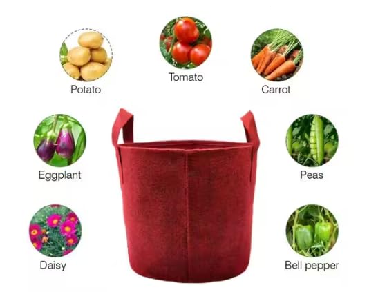 Image of OON Geo Grow Bag for Terrace and Flowers Vegetable Gardening, Premium Geo Fabric 450 GSM Plant Bags, Maroon Color, Eco Friendly Geo Fabric (5, Maroon, 6X6 INCH)