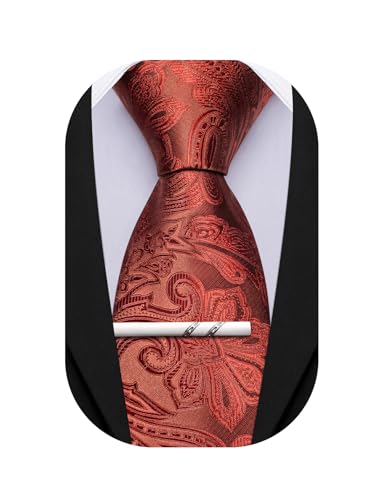 Image of Barry.Wang Paisley Tie for Men Silk Woven Necktie and Tie Clip Set Wedding Party Business Formal