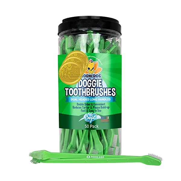 Bodhi Dog New Dual Ended Long Dog & Cat Toothbrush | Pet Safe Super Soft Bristles for Pet Dental & Oral Care Teeth & Gums | Bulk Container 50 Pack Bodhi Dog New Dual Ended Long Dog & Cat Toothbrush | Pet Safe Super Soft Bristles for Pet Dental & Oral Care Teeth & Gums | Bulk Container 50 Pack