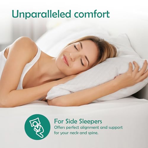 Image of MYTRIDENT Classic Memory Comfort Pillow for Bed, 220 GSM, Memory Pillow, 36 CM X 58 CM-White
