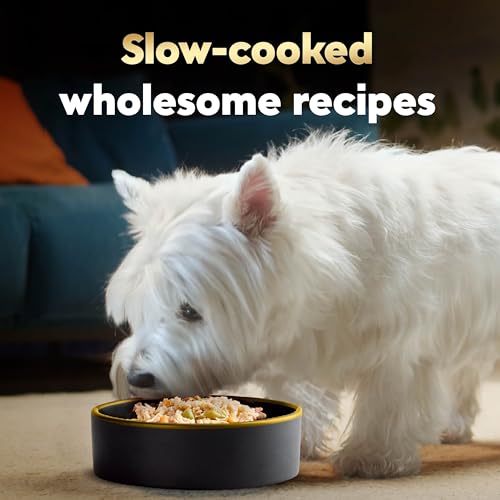 Image of Cesar Wholesome Bowls Wet Dog Food, Chicken & Green Beans, 3 oz, 10 Count | Real chicken #1 ingredient, slow-cooked, 10 key ingredients, no by-products or artificial flavors, easy to digest