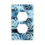 Photo Gallery poezjzw copertura plateoutlet da parete con motivo rosa blu, dimensioni del piatto decorativo 11,4 x 7 cm per aree residenziali e commerciali Photo Gallery poezjzw copertura plateoutlet da parete con motivo rosa blu, dimensioni del piatto decorativo 11,4 x 7 cm per aree residenziali e commerciali