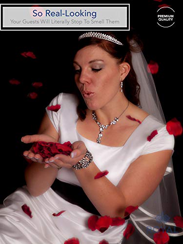 Royal Imports Red Silk Flower Romantic Artificial Rose Petals For Wedding Aisle, Party Favor & Table, Vase, Home Decoration, 1000 Pcs #TOP1