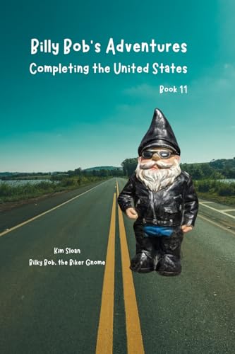 Billy Bob's Adventures: Completing the United States