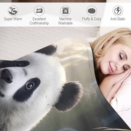 Couverture polaire panda en flanelle douce de qualité supérieure 140x180