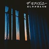 悲しみが消える頃 歌詞