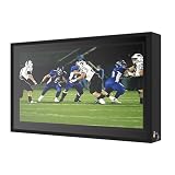 Yardenaler 55 Inch Outdoor TV Enclosure