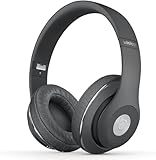 Beats by Dr. Dre Studio 2.0 Wireless Over-Ear Headphones Alexander Wang Limited Edition Gray - Adaptive Noise Canceling and a Built-in mic (Renewed)