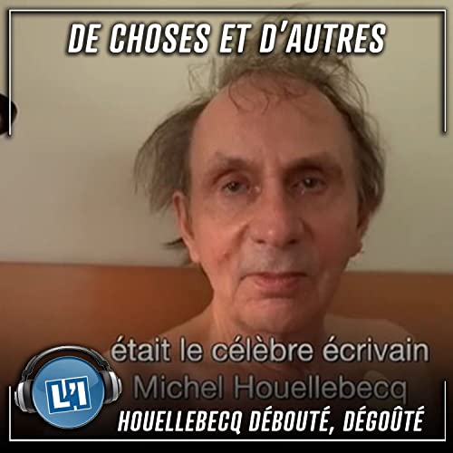 Houellebecq d&eacute;bout&eacute;, d&eacute;go&ucirc;t&eacute; - S04E144