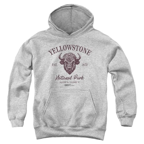 Yellowstone National Park Bison Icon Youth Kids Boy/Girls Pull-Over Hoodie