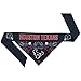 NFL Houston Texans Team Dog Bandana, Large, Blue