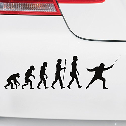 Motoking Autoaufkleber - Lustige Sprüche & Motive für Ihr Auto - Evolution Fechten - 25 x 7,3 cm - Schwarz Glänzend