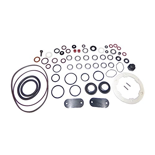 Diesel Care Roosa Master/Stanadyne Diesel Injection Pump seal kit 24371 DB/JDB/DC pumps