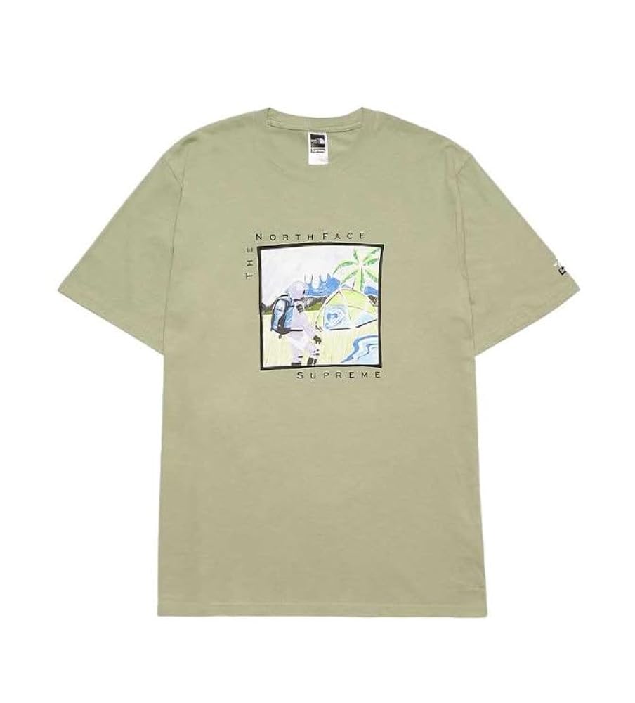 最終値下げ‼️supremeノースフェイス❗️リーフT❣️ SUPREME シュプリーム 24SS THE NORTH FACE ノースフェイス S/S