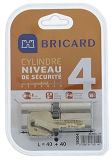 Bricard 18004 Cylindre de serrure double entrée Serial Xp 40+40 Nickelé