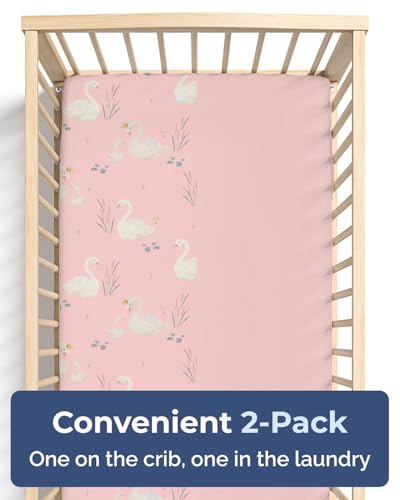 View 5