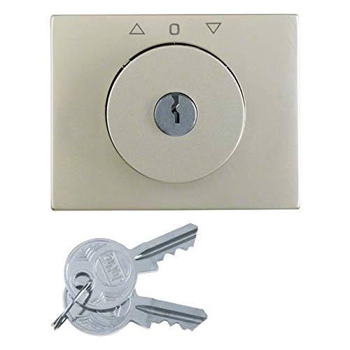 Pièce centrale avec serrure pour store Berker 1079710400 interrupteur clé