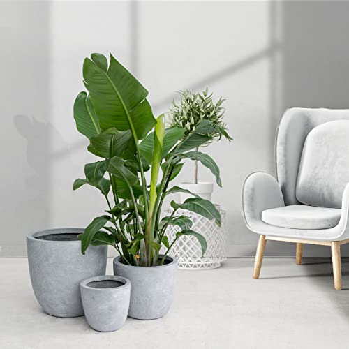 Image of Kante Set of 3 Blue Gray Concrete Bowl Planters 18 inch 14 inch 10 inch Dia