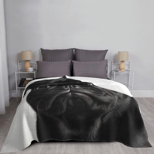 Couverture microfibre de qualité supérieure avec imprimé carlin noir