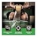 Matman Wrestling Mat Tape - 18 Rolls (case) of 4” 8 mil Tape | Ultra Strong Adhesive for Wrestling, Exercise, Jiu Jitsu Mats | Multi-Purpose Clear Vinyl for Home & Gym Floors