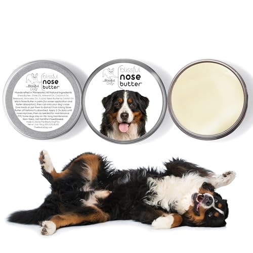 Image of The Blissful Dog Bernese Mountain Nose Butter, Versatile Dog Nose Balm for Dry Nose, Handcrafted Nose Moisturizer, Easy-to-Apply Dog Essentials, Unscented, 16 oz.