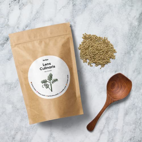 Foto von SPROUTY | Sprossensamen Set für Keimglas + Anleitung | 600g | 6 Sorten Keimsprossen & Microgreens | Geeignet für Sprossenglas | Alfalfa, Brokkoli, Radieschen, Linsen, Buchweizen, Mungo Bohnen