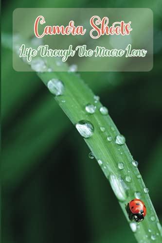 Camera Shoots: Life Through The Macro Lens: Learn To Use Camera