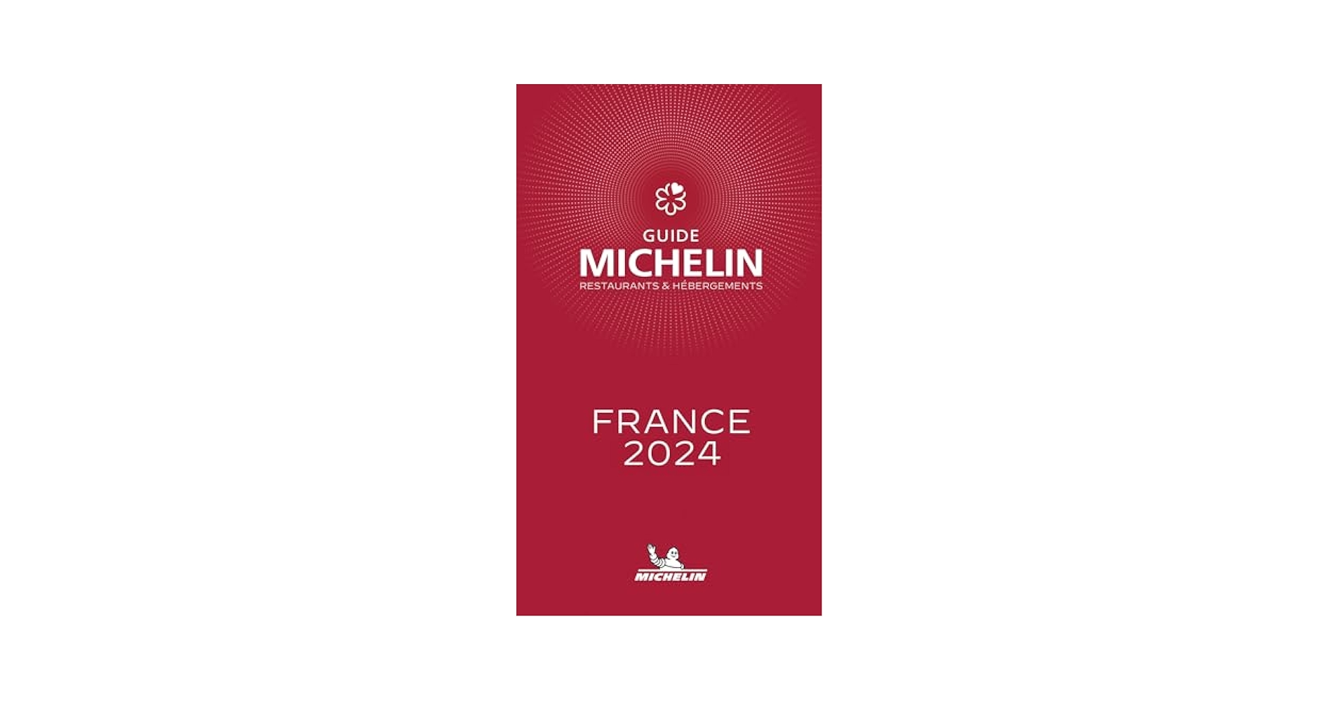 洋書 MICHELIN FRANCE 1994 Red Guide francais 洋書 MICHELIN FRANCE 1994 Red Guide francais Michelin Red