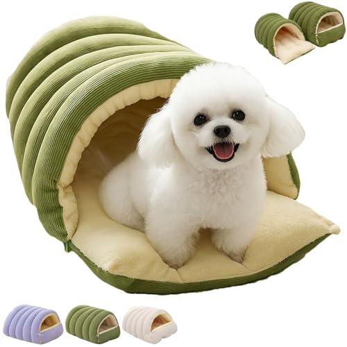 R[W[EX^[ELbgxbh LE^pP[uxbh O\NbVtAlXgAȔM^P[uALE^p @Ő􂦂邠xbh,Medium,Green