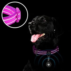 azuza Reflective Dog Collar with Airtag Holder, Soft Neoprene Padded Pet Collar with ID Tag Ring, Adjustable for Small Dogs,Purple,S azuza Reflective Dog Collar with Airtag Holder, Soft Neoprene Padded Pet Collar with ID Tag Ring, Adjustable for Small Dogs,Purple,S