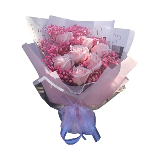 MAIBED  o J[l[V  񂰑ܕt \[vt[ u[P t[AWg o^Cf[ ̓ v[g (P) [sAi]