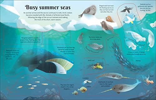 Extreme Planet: Journey Across The Arctic