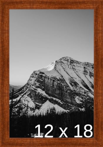 Frame It Easy 12 x 18 Russet Wood Frame (Derby)