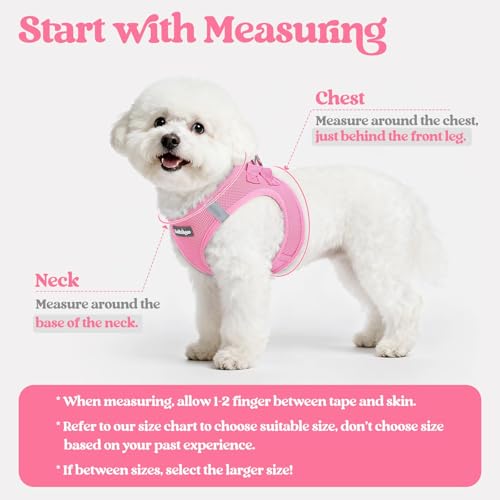 Image of rabbitgoo Dog Harness Medium Sized and Leash Set, Step-in Puppy Pet Vest