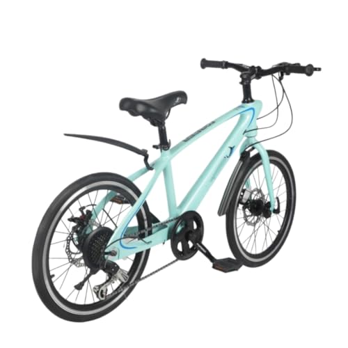 GrdMis�}�E���e���o�C�N 8�΁`12��20�C���` 22�C���` MTB ���]�� �f�B�X�N�u���[�L �����Y�f�|�t���[�� �r��z�� �ʋ� �ʊw�̏��N���������q���p�A���E��^�q���p�ϑ����[�h���[�X (�E�B���_�l�X�O���[�� ���[�V���O�G�f�B�V���� - �t���b�g�o