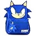 AI ACCESSORY INNOVATIONS Sonic Backpack for Boys & Girls, Bookbag with Adjustable Shoulder Straps & Padded Back,16 Inch Schoolbag with 3D Features