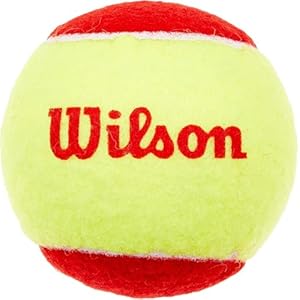 Wilson WRT137100 Starter Easy Ball-12 Pack