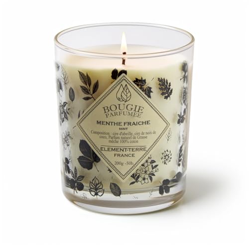EleMENT-TERRE - Vela perfumada (200 g, 50 horas, menta fresca)