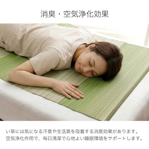 イケヒコ い草シーツ シングル 天然い草100％ ラーデ 約80×180cm ブルー 寝ござ 洗濯不要 調湿 消臭 涼感 夏用 #1123180040701 [5]