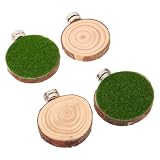 Cabilock 4 Stück Runde Holzplattform mit natürlichem Moos zur Förderung der Aktivität von Springspinnen im Spinnen Terrarium als Dekoration