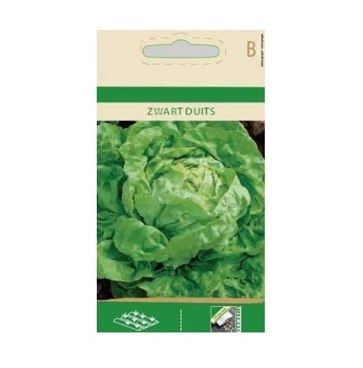 VibeX Lettuce Zwart duits, Butterhead, Green Seeds-500 Seeds (B0BBGP7FS2) Amazon Price History, Amazon Price Tracker