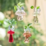 Glasseam Window Propagation Stations, 4Pcs Colored Mushroom Propagation Vases with Suckion Cups, Glass Wall Hanging Planter Terrariums for Flowers, Cute Indoor Small Plant Holder Gifts for Women