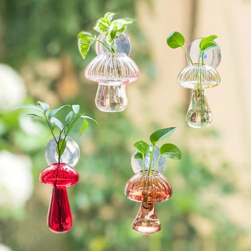 Glasseam Window Propagation Stations, 4Pcs Colored Mushroom Propagation Vases with