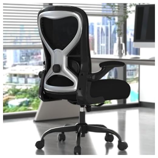 CASASIO Ergonomic Office Desk Chair