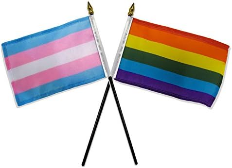 Gay Pride Rainbow & Transgender Flags 4"x6" Desk Set Table Gold Base image 3