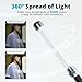 Flashpoint AD-S200 Stick Flash Head for Godox AD200/AD200Pro, or eVOLV 200/Pro Portable Handheld Stick Flash Head with 360 Degree Transparent Flash Tube for Studio or Outdoor Photography Lighting