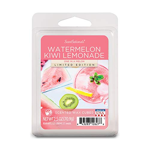 Best Hot Plate For Melting Wax 10Reviewz