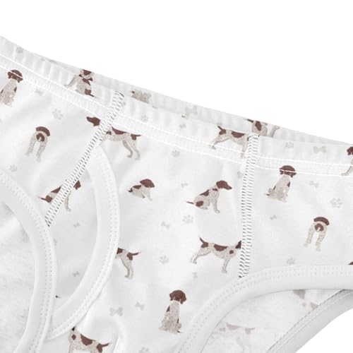 Boys' Exclusive Briefs Toddler Underwear 95% Combed Cotton Boxerbriefs 2T Pointer Dog Pattern 804
