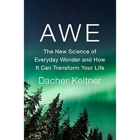 Awe: The New Science of Everyday Wonder and How It Can Transform Your Life Cover